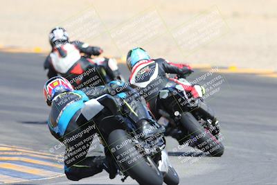 media/Mar-10-2024-SoCal Trackdays (Sun) [[6228d7c590]]/9-Turn 8 Backside (1150am)/